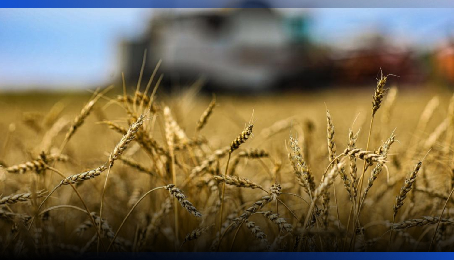 Image for Проекты по глубокой переработке реализуются в АПК Казахстана