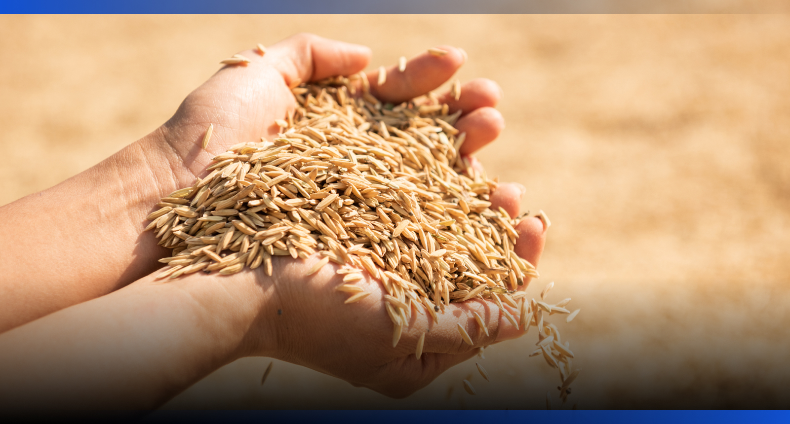 Image for Казахстан увеличил экспорт зерна до 3,1 млн тонн с начала сезона